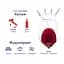 Вино Grappolo d'Oro Vino Rosso, червоне, сухе, 5 л - мініатюра 2