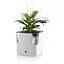 Кашпо Plastkon Cobble Flower Lover с системой автополива 14x14x14 см белое - миниатюра 2