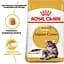 Сухой корм для взрослых кошек мейн-кун Royal Canin Maine Coon Adult, с птицей, 0,4 кг - миниатюра 2