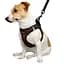 Шлея для собак Bronzedog Sport Vest XXS 15х13х3 см коричнева - мініатюра 3