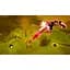 Ключ активації Microsoft Risk of Rain 2 & Survivors of the Void Bundle для Xbox One/Series S/X - мініатюра 4
