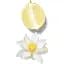 Парфумована вода для жінок Rituals Oriental Essences Soleil d'Or 50 мл - мініатюра 4