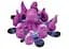 Настольная игра Geekach Games Космоспрут (Cosmoctopus) (укр.) (GKCH171ct) - миниатюра 6