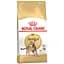 Сухий корм для котів бенгальської породи Royal Canin Bengal Adult з птицею 2 кг (4370020) - мініатюра 1