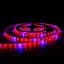 Світлодіодна фітострічка вологозахищена Brille 12V 12W 60SMD 5050 18LM IP65 1m (LM870) 9350095 - мініатюра 2
