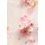 Набор Rituals: шампунь для волос The Ritual of Sakura Hair Care 250 мл + кондиционер для волос The Ritual of Sakura Hair Care 250 мл - миниатюра 4
