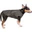 Жилет для собак Pet Fashion E.Vest L сірий - мініатюра 2