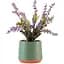 Горщик зі штучною рослиною МВМ My Home, 23 см, зелений (DH-FLOWERS-21 PURPLE/GREEN) - мініатюра 1