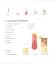 Rum A Tasting Course - миниатюра 5