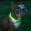 Нашийник для собак UFT PET LED 1 Green M з підсвічуванням на батарейках - мініатюра 3