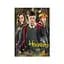 Пазл классический "Harry Potter. Гарри и друзья" DoDo Toys 200498, 250 элементов - миниатюра 4