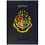 Щоденник шкільний Kite Harry Potter тверда обкладинка (HP25-262-2) - мініатюра 8