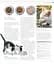 The Cat Encyclopedia - мініатюра 23