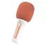 Караоке-мікрофон Xiaomi Yhemi Karaoke Microphone Lite (YMMKF007) Orange - мініатюра 1