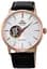 Годинник ORIENT FAG02002W0 - мініатюра 1