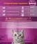 Сухой корм для кошек Whiskas, с тунцом, 800 г - миниатюра 4