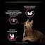 Вологий корм для котів Purina Pro Plan Delicate Digestion з чутливим травленням 85 г (12457641) - мініатюра 7