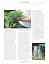 The Royal Horticultural Society Allotment Handbook. The Expert Guide for Every Fruit and Veg Grower - мініатюра 9