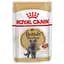Набір вологого корму для дорослих кішок породи британська короткошерста Royal Canin British Shorthair Adult шматочки в підливі 1.02 кг (12 шт. х 85 г) - мініатюра 2