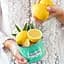Смесь чаев Kusmi Tea Detox органическая 100 г - миниатюра 4