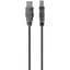 Кабель Belkin USB 2.0 AM/BM 1.8m (F3U154BT1.8M) [159803] - миниатюра 1