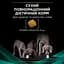 Сухой корм для собак при заболеваниях желудочно-кишечного тракта Purina Pro Plan Veterinary Diets EN Gastrointestinal, 12 кг - миниатюра 12