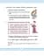 Рідна мова для небайдужих: 3 клас. Частина 2 - мініатюра 7