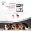 Витамины для собак 8in1 Excel Multi Vit-Puppy 100 таблеток (660433/108634) - миниатюра 6