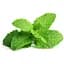Змінний картридж Click & Grow Smart Garden М'ята, 3 капсули (7397) - мініатюра 3