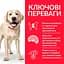 Сухий корм Hill's SP Can Adult Ligt Large Breed C 2,5 кг для дорослого собаки з схильністю до - мініатюра 2