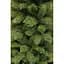 Сосна искусственная Black Box Trees Medford 1.85 м зеленая (8718861279870) - миниатюра 3