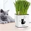 Вазон Lechuza Cube Glossy Cat Winter edition 14 білий блискучий (13507) - мініатюра 4