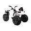 Електроквадроцикл Ramiz Quad ATV 12 В,зелений (PA.BDM0906.ZIE) - мініатюра 3