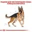 Сухий корм для дорослих собак породи Німецька вівчарка Royal Canin German Shepherd Adult, 3 кг (2518030) - мініатюра 3