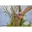 Секатор Gardena PremiumCut Pro Dry Wood с наковальней 24 мм (12250-20.000.00) - миниатюра 14