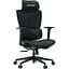 Геймерское кресло Anda Seat X-Air Mega XL Mesh Space Black [AD-WY-01-BBB] [126346] - миниатюра 2