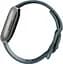 Смарт-годинник Fitbit Versa 4 Waterfall Blue/Platinum (FB523SRAG) - мініатюра 7