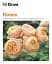 Grow Roses. Essential Know-how and Expert Advice for Gardening Success - мініатюра 1