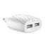 Зарядное сетевое HOCO C78A Highway 2USB 2.4A Lightning Белый - миниатюра 3