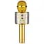 Караоке Мікрофон-колонка WS858 Gold - мініатюра 1