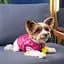 Бомбер Pet Fashion Grace М рожевий - мініатюра 4