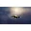Ключ активації Microsoft Frontier Pilot Simulator для Xbox Series S/X - мініатюра 7