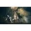 Ключ активации Microsoft Elden Ring Shadow of the Erdtree Deluxe Edition для Xbox One/Series S/X - миниатюра 4