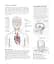 Science of Yoga. Understand the Anatomy and Physiology to Perfect Your Practice - мініатюра 6