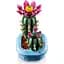 Конструктор LEGO Botanicals Цветение кактуса 482 детали (11509) - миниатюра 2
