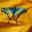Набор наволочек Moon&Star Бязь Gold Люкс Butterfly Bloom 50х50 см 2 шт - миниатюра 5