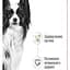 Влажный корм для взрослых собак миниатюрных размеров Royal Canin X-Small Adult кусочки в соусе 85 г - миниатюра 2
