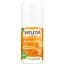 Дезодорант Weleda Sea Buckthorn 24h Deo Roll-On 50 мл (4001638502399) - мініатюра 1