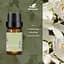 Эфирное масло Kinscoter Essential Oil Set 6 bottles, 6*10 мл - миниатюра 5