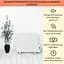 Масляний радіатор oneConcept Wallander 600W (10033098) - мініатюра 4